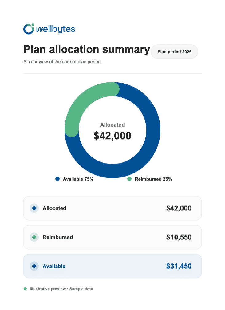 Illustrative plan summary showing sample allocated, reimbursed and available amounts.