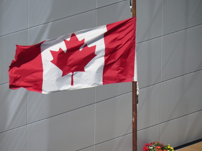 CRA eligible expenses for HSA claims in Canada